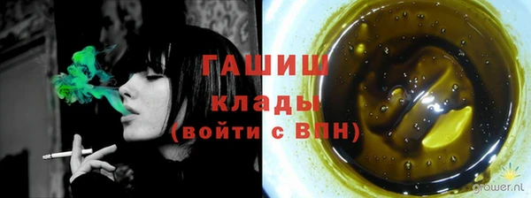 дживик Абаза