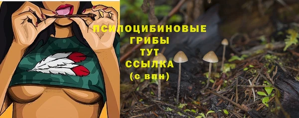 2c-b Абдулино