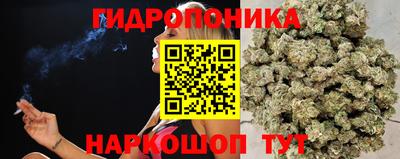 mdma Краснознаменск