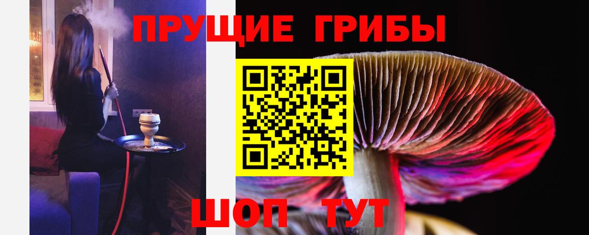 Галлюциногенные грибы мицелий  Вход с VPN  Каменка 